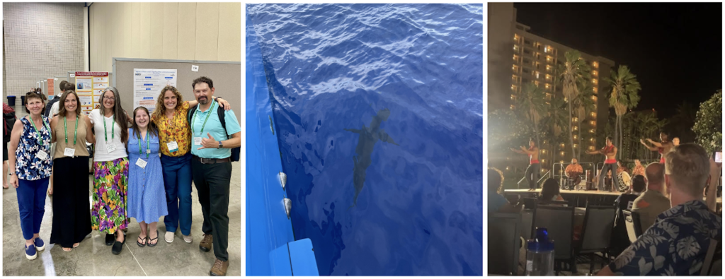 3 photos: first - group of people smile for the camera; middle - shark in dark blue water; third - dancers on stage in Hawai'i.